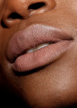 & Other Stories Early Sepia Satin Lip Colour