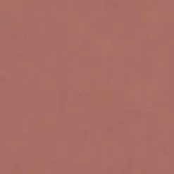 & Other Stories Early Sepia Satin Lip Colour