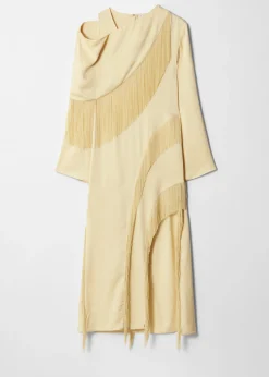 & Other Stories Maxikleid mit Fransen